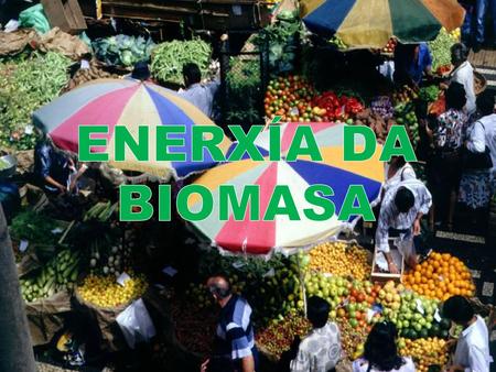 ENERXÍA DA BIOMASA.