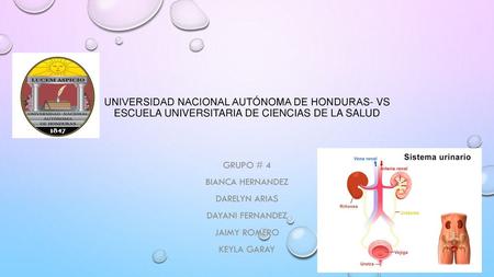 Grupo # 4 Bianca hernandez DarelYN Arias Dayani Fernandez Jaimy Romero