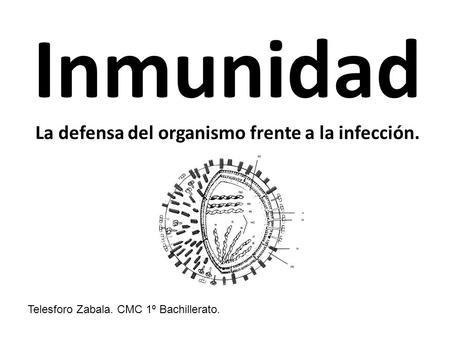 Inmunidad La defensa del organismo frente a la infección.
