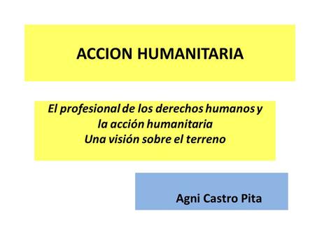 ACCION HUMANITARIA El profesional de los derechos humanos y la acción humanitaria Una visión sobre el terreno Agni Castro Pita.