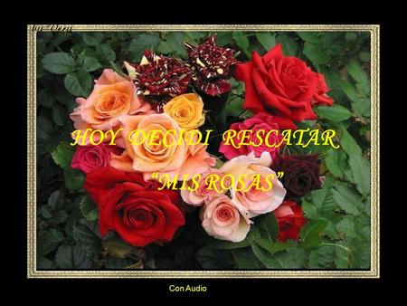 Con Audio HOY DECIDI RESCATAR “MIS ROSAS” Decidí rescatar “Mis Rosas”, las rosas de mi vida, las Frescas, las Dormidas, las Fragantes, las Muertas. Aquellas.