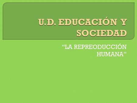 U.D. EDUCACIÓN Y SOCIEDAD