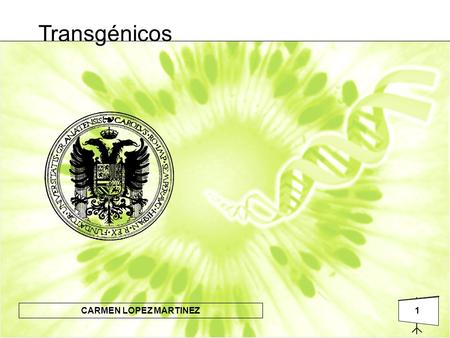 Transgénicos.