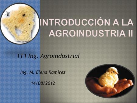 1T1 Ing. Agroindustrial Ing. M. Elena Ramírez 14/08/2012.
