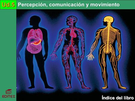 Percepción, comunicación y movimientoUd.5 Índice del libro Índice del libro Percepción, comunicación y movimientoUd.5.