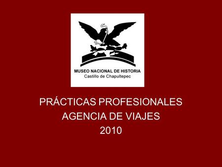 PRÁCTICAS PROFESIONALES AGENCIA DE VIAJES 2010