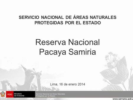 Reserva Nacional Pacaya Samiria