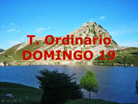 T. Ordinario DOMINGO 19.
