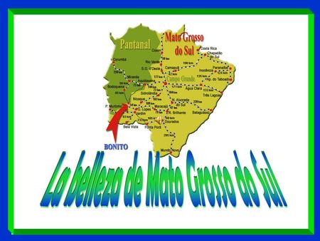 Mato Grosso do Sul è uno stato federato brasiliano, avente una superficie di circa 350.000 km²; confina (in senso orario da Nord) con gli stati del.
