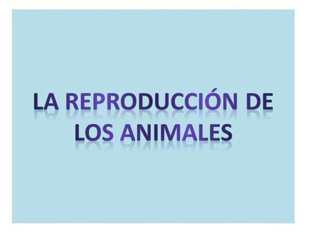LA REPRODUCCIÓN DE LOS ANIMALES