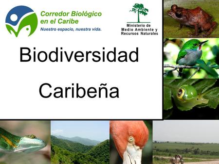 Biodiversidad Caribeña 1.