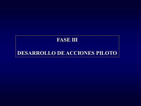 FASE III DESARROLLO DE ACCIONES PILOTO
