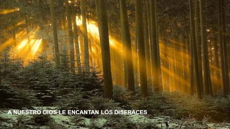 A NUESTRO DIOS LE ENCANTAN LOS DISFRACES