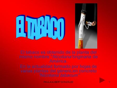 EL TABACO El tabaco es obtenido de la planta del mismo nombre “Nicotiana”originaria de América. En la actualidad formado por hojas de varias plantas del.