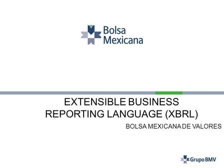 REPORTING LANGUAGE (XBRL)