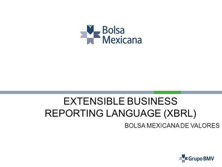 REPORTING LANGUAGE (XBRL)