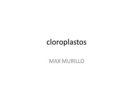 Cloroplastos MAX MURILLO.