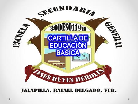 ALEJO ROSAS FLOR AERF990314MVZLSL07 D MATUTINO JESUS REYES HEROLES30DES0119H.