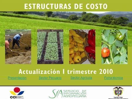 Presentación Sector Pecuario Sector Agrícola Ficha técnica.