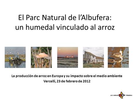 El Parc Natural de l’Albufera: un humedal vinculado al arroz La producción de arroz en Europa y su impacto sobre el medio ambiente Vercelli, 23 de febrero.