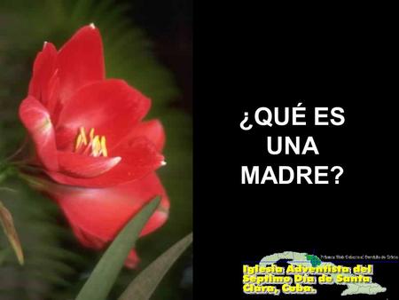 ¿QUÉ ES UNA MADRE?.