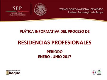 RESIDENCIAS PROFESIONALES