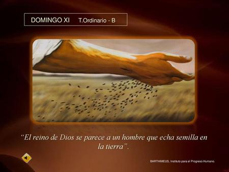 DOMINGO XI T.Ordinario - B