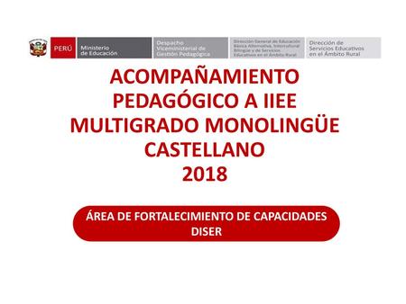 ACOMPAÑAMIENTO PEDAGÓGICO A IIEE MULTIGRADO MONOLINGÜE CASTELLANO 2018