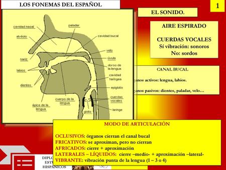LOS FONEMAS DEL ESPAÑOL