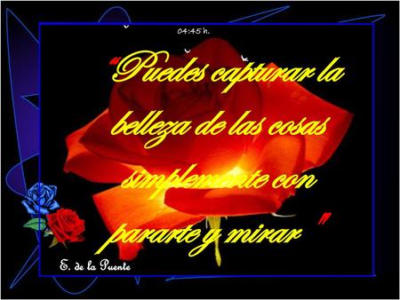 04:45 h. “Puedes capturar la belleza de las cosas simplemente con pararte y mirar  E. de la Puente.