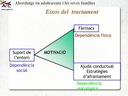 Ajuda conductual Estratègies d’afrontament