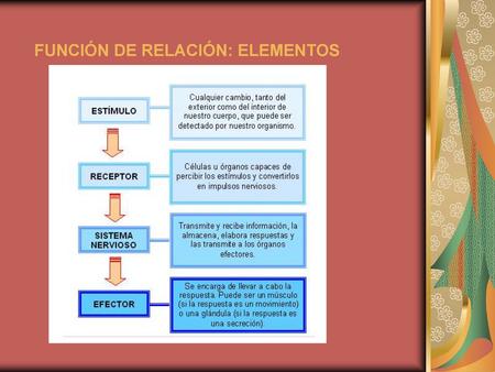 FUNCIÓN DE RELACIÓN: ELEMENTOS