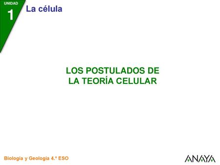 La teoría celular Se conoce como teoría celular a un conjunto de postulados, enunciados por Matthias Jakob Schleiden, Theodore Schwann y Rudolf Virchow.