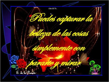 03:05 h. “Puedes capturar la belleza de las cosas simplemente con pararte y mirar  E. de la Puente.