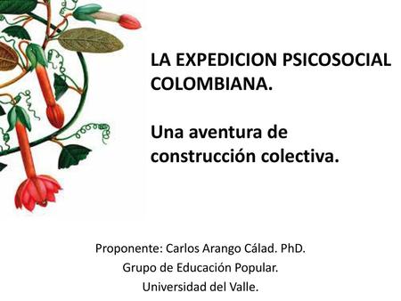 LA EXPEDICION PSICOSOCIAL COLOMBIANA