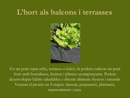 L’hort als balcons i terrasses