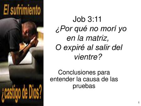 Conclusiones para entender la causa de las pruebas