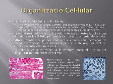 Organització Cel·lular