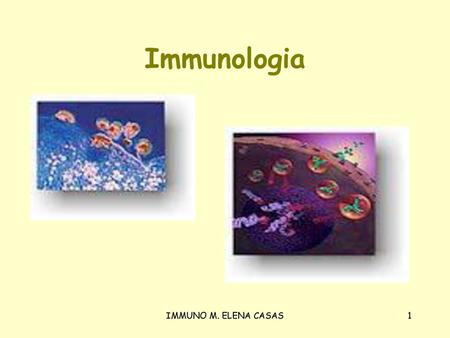 Immunologia IMMUNO M. ELENA CASAS.