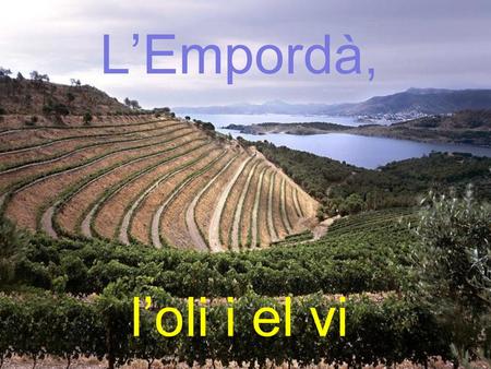 L’Empordà, l’oli i el vi.