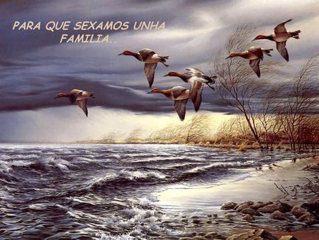 PARA QUE SEXAMOS UNHA FAMILIA..