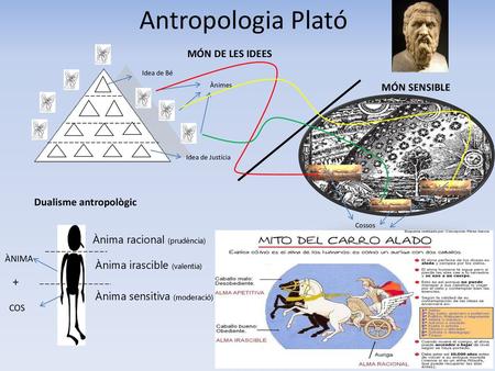 Antropologia Plató + MÓN DE LES IDEES MÓN SENSIBLE