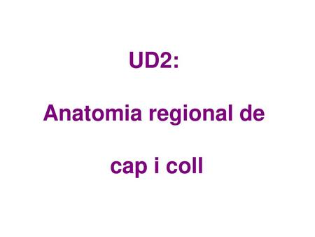 UD2: Anatomia regional de cap i coll