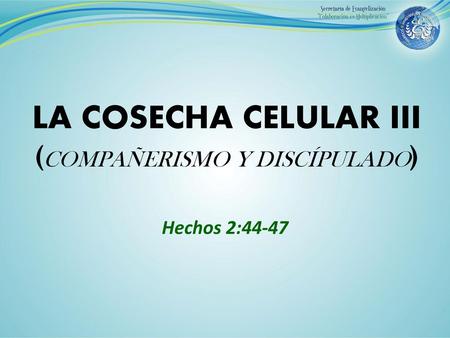LA COSECHA CELULAR III (COMPAÑERISMO Y DISCÍPULADO)