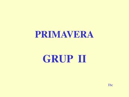 PRIMAVERA GRUP II 1bc.