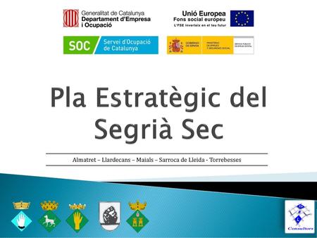 Pla Estratègic del Segrià Sec