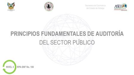 PRINCIPIOS FUNDAMENTALES DE AUDITORÍA