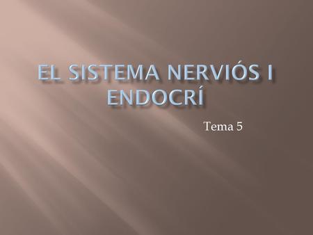 EL SISTEMA NERVIÓS i endocrí