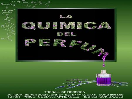 Plantejaments del problema.
