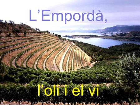 L’Empordà, l’oli i el vi.